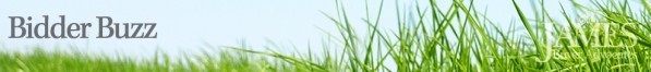 mi_bidderbuzz_02-597x66-597x66 2