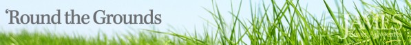 mi_round_grounds_02