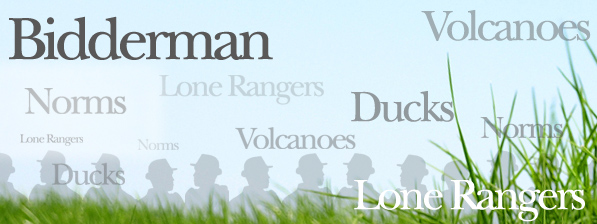 bidder_man_mn_597x224